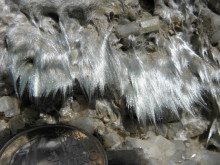 Veine à actinolite-amiante recoupant un métabasalte ophiolitique de Haute-Corse